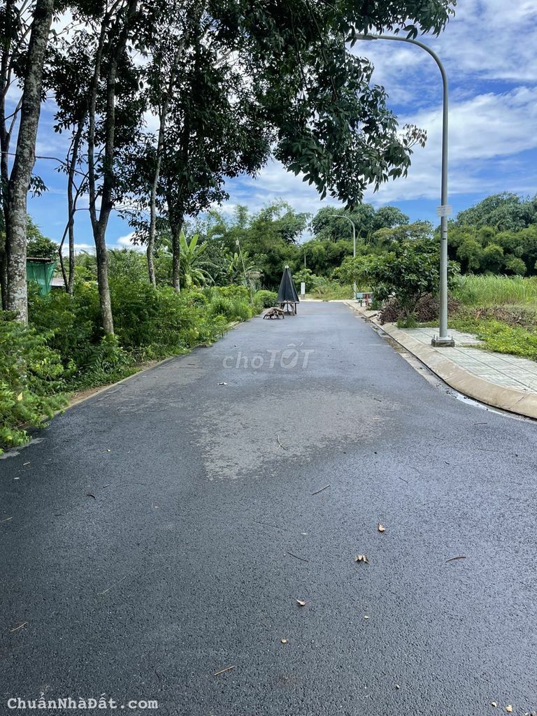 Đang ngộp nặng cần bán đất nền thổ SHR ở tĩnh lộ 15, Phú Hòa Đông, H Củ Chi