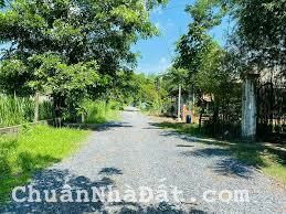 Ông Chú bán đất vườn 1077m SHR giá 1 tỷ 299 ở Tl 7, Thái Mỹ