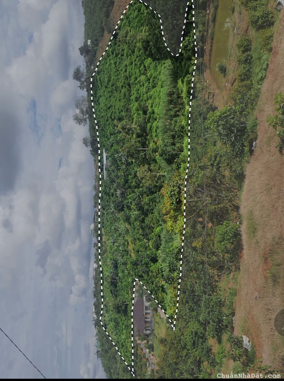 Bán 2.4 ha vườn rừng nghỉ dưỡng gần TT Bảo Lộc Bán 2.4 ha vườn rừng nghỉ dưỡng gần TT Bảo Lộc