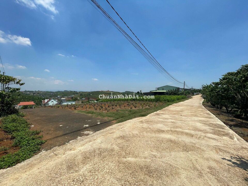 Bán lô đất biệt thự 15 x 40, view cực đẹp 2 mặt tiền gần TT Bảo Lộc