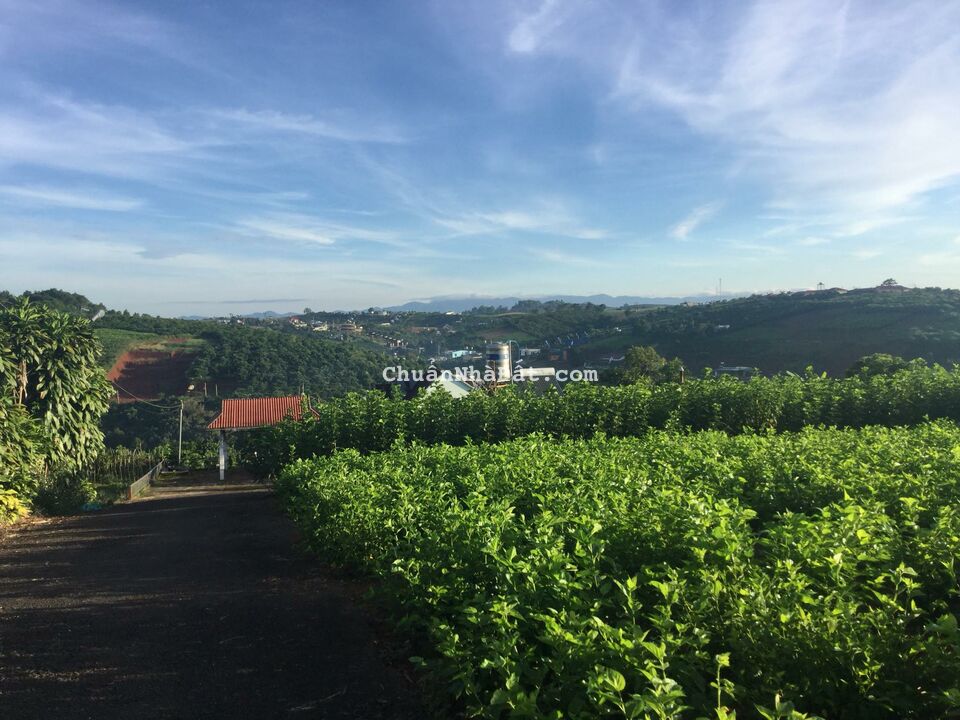 Bán lô đất biệt thự 15 x 40, view cực đẹp 2 mặt tiền gần TT Bảo Lộc