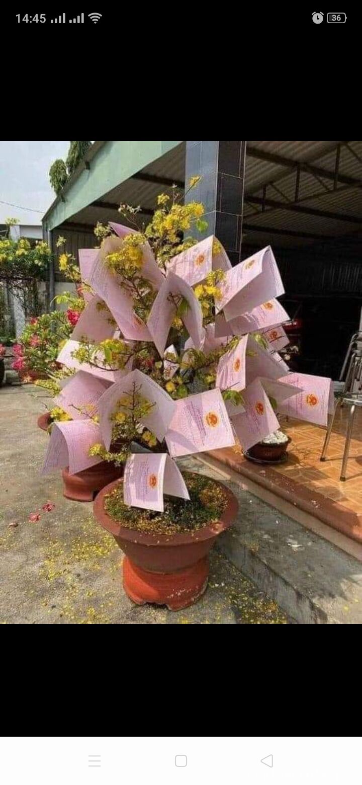  Cần bán biệt thự góc 2 măt tiền thuộc khu dân cư Huy Hoàng- Gò Vấp 23 tỷ Đường Nguyễn Oanh