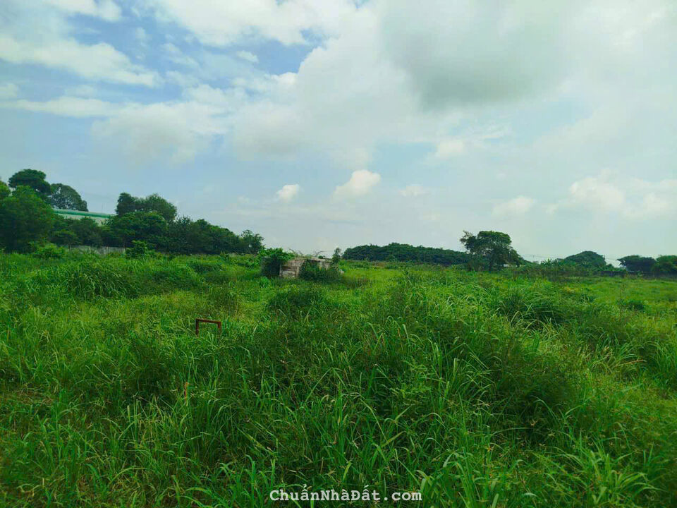 Đất Dự Án Nhà Phố Tân Thới Nhì - Hóc Môn Bán 17500m2 Giá 170 Tỷ