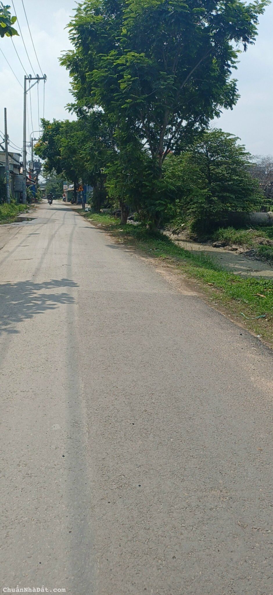 Đất Mặt Tiền Đường 6A Bình Chánh Diện Tích 25 x 80m Giá 20 Tỷ (TL)