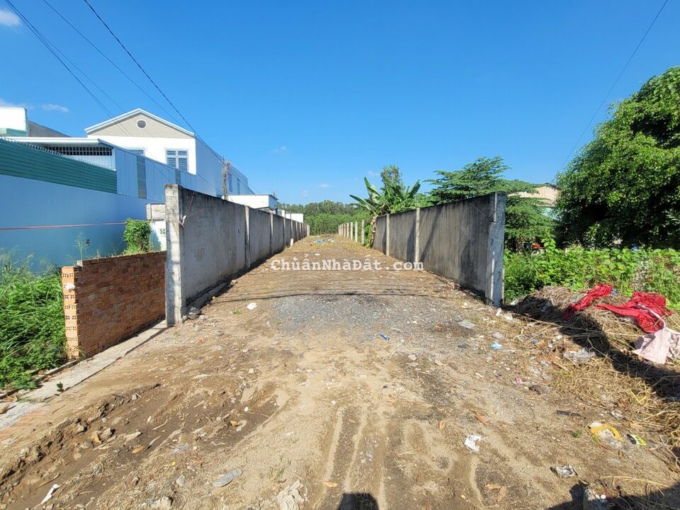 Bán Đất Thổ Cư Mặt Tiền Lê Đình Chi Bình Chánh DT 6 x 60m Giá 6.2 Tỷ