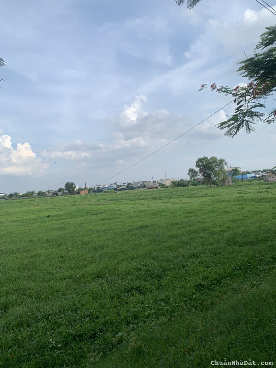 Đất Bán Mặt Tiền Đường Nhựa Trương Thị Như DT 40 x 65m Giá 9tr/m2