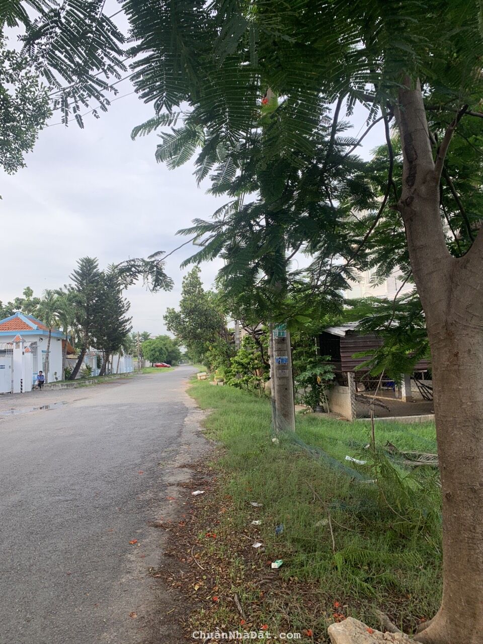 Đất Bán Mặt Tiền Đường Nhựa Trương Thị Như DT 40 x 65m Giá 9tr/m2