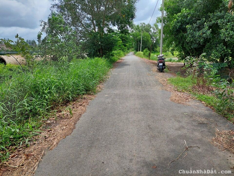 Đất Đầu Tư Tân Thạnh Tây - Củ Chi - Chỉ 1tr6/m2 Đường Nhựa Ô Tô