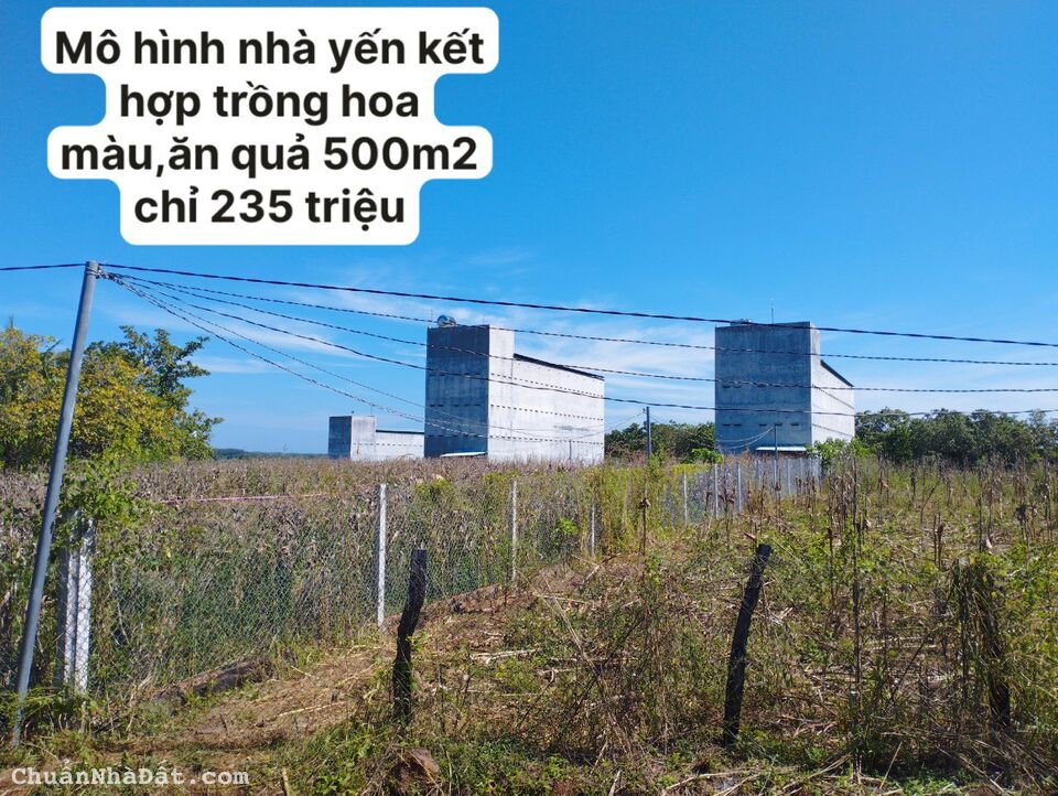 Bán đất Bình Phước giá rẻ diện tích lớn 500m2  giá 230 triệu 0974777698