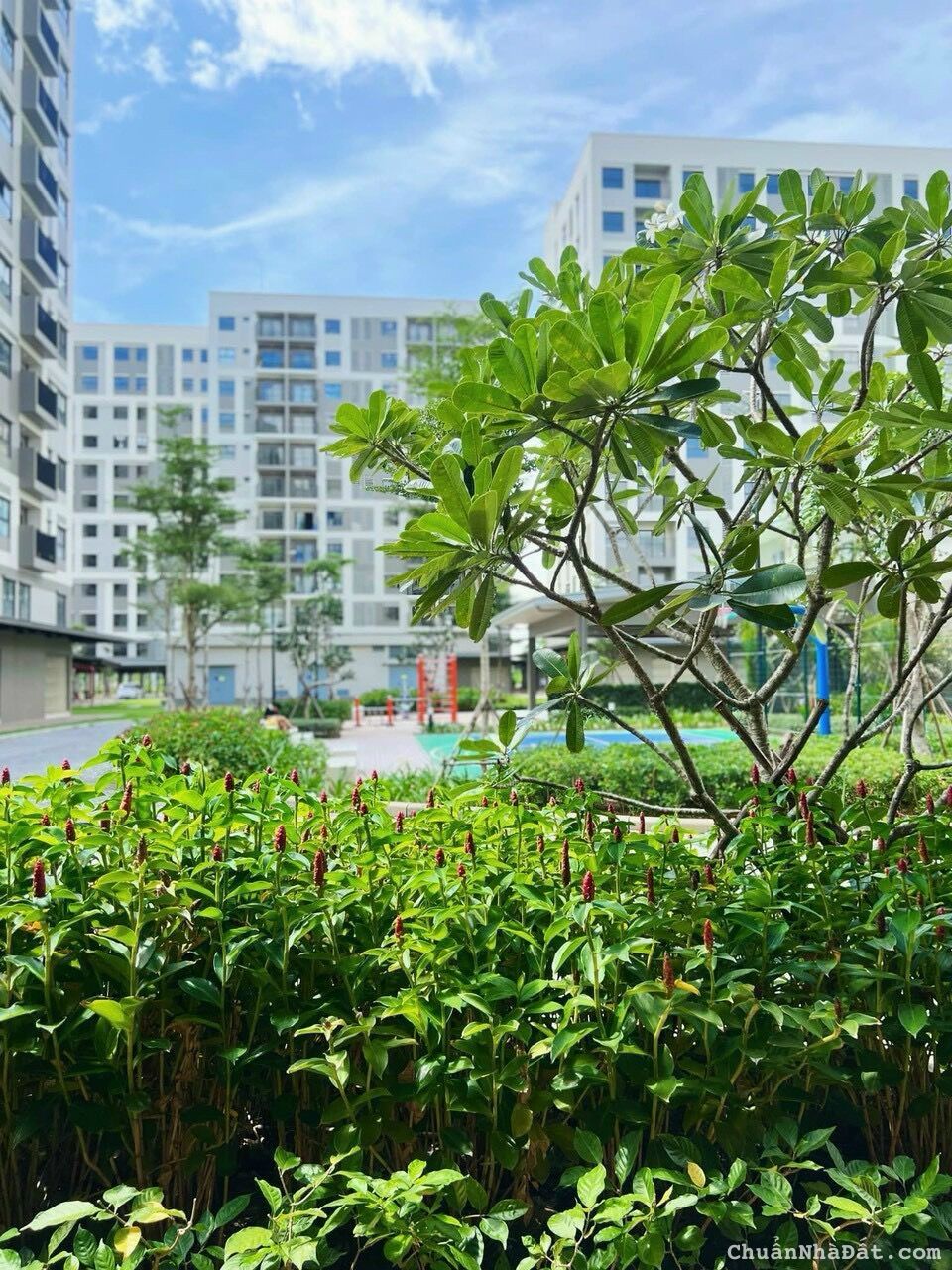 Cần bán căn 51m2 đã làm nội thất như hình và đang có HĐ thuê LH 0931793320 Cần bán nhanh căn 51m².