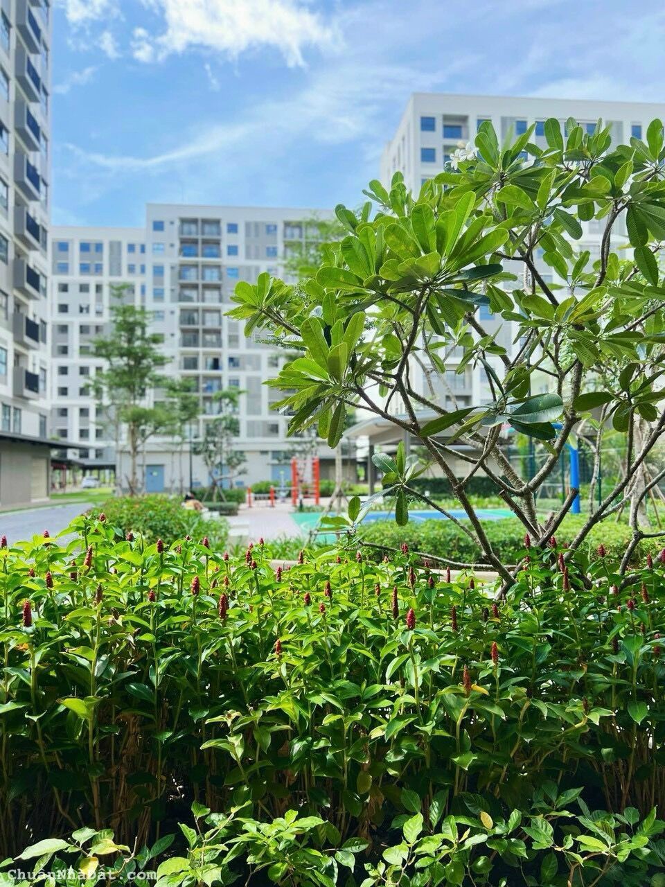 Chỉ 97tr dễ dàng sở hữu căn hộ CĐT Nam Long nhận nhà ở ngay LH 0931793320