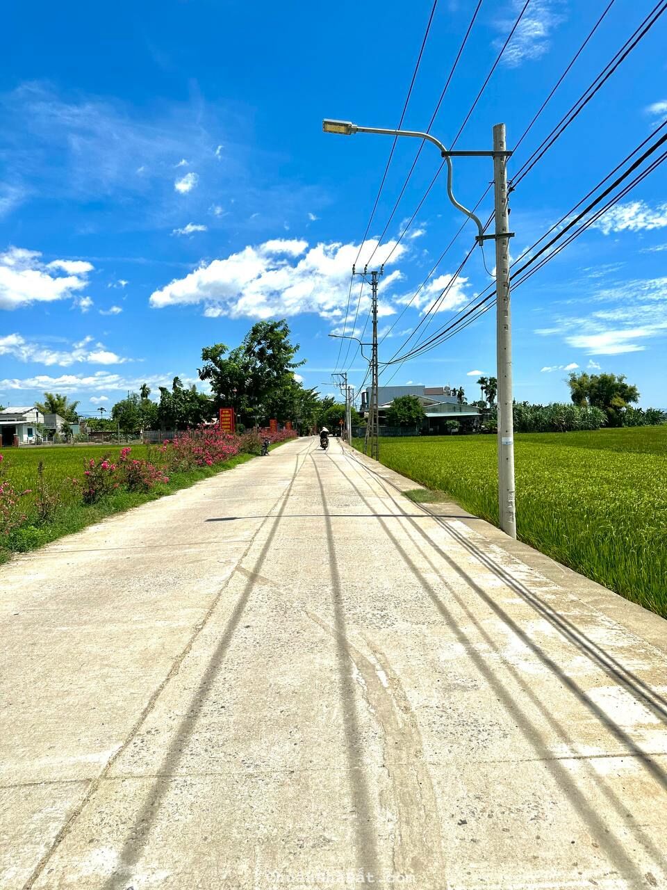 Bán đất Điện Hồng Điện Bàn Quảng Nam Giá 4XX triệu