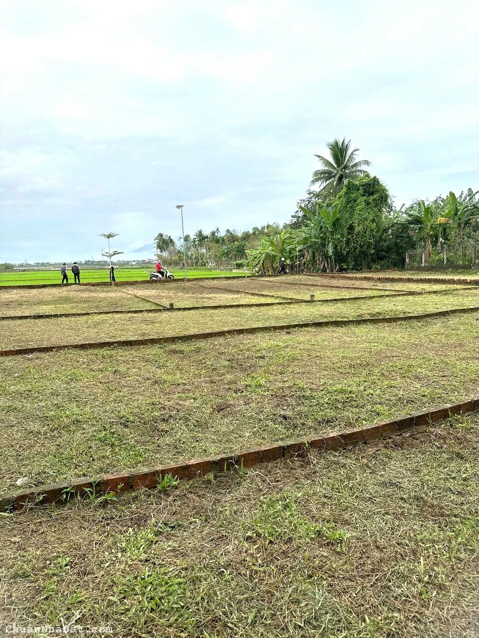 Bán đất Điện Hồng Điện Bàn Quảng Nam Giá 4XX triệu