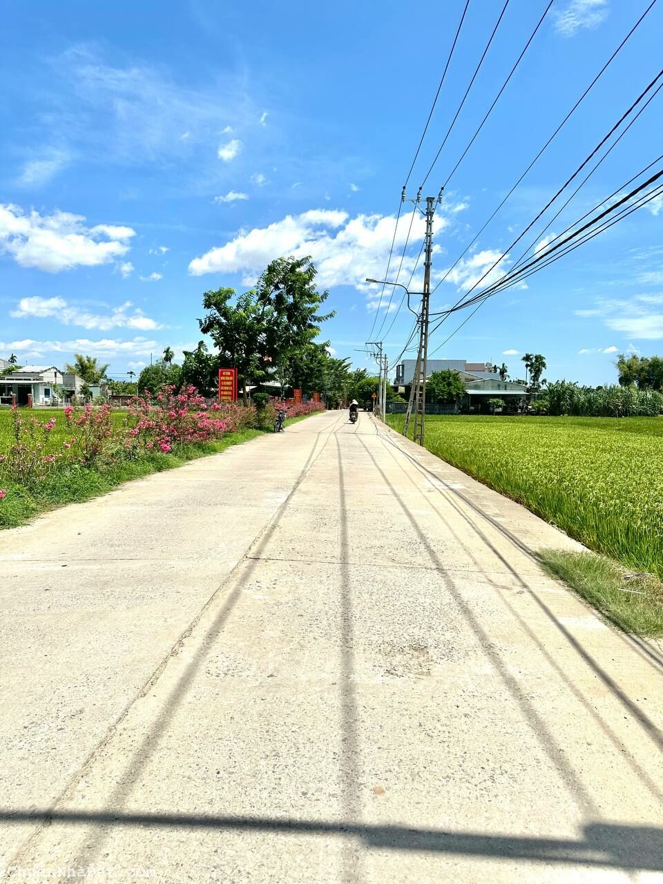 Bán đất Điện Hồng Quảng Nam 175m2 giá 535 Triệu