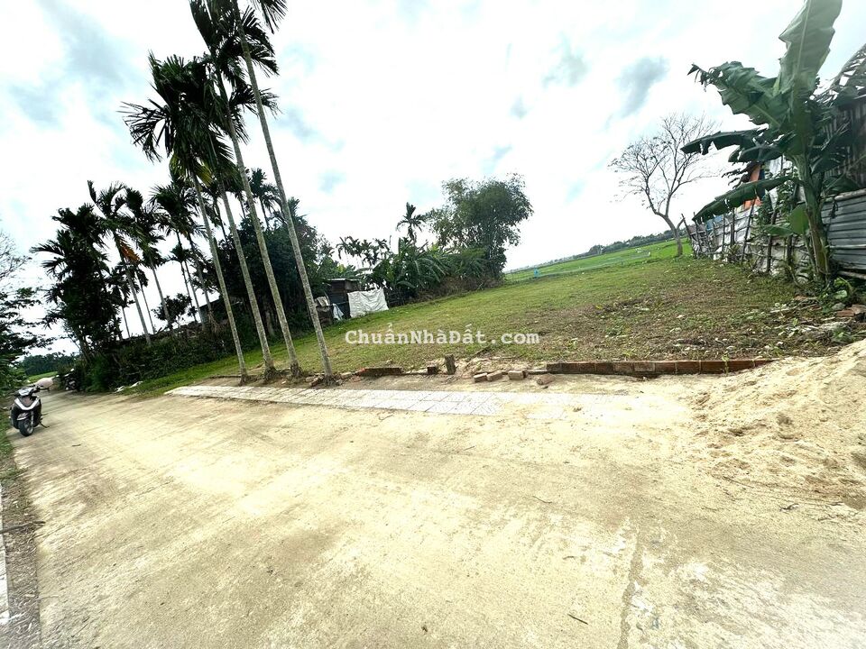 Cần bán 175m2 Điện Hồng Quảng Nam Giá 535 triệu