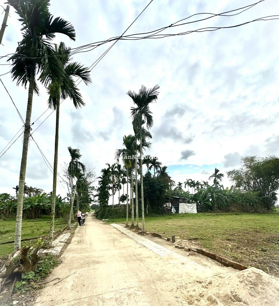 Cần bán 175m2 Điện Hồng Quảng Nam Giá 535 triệu