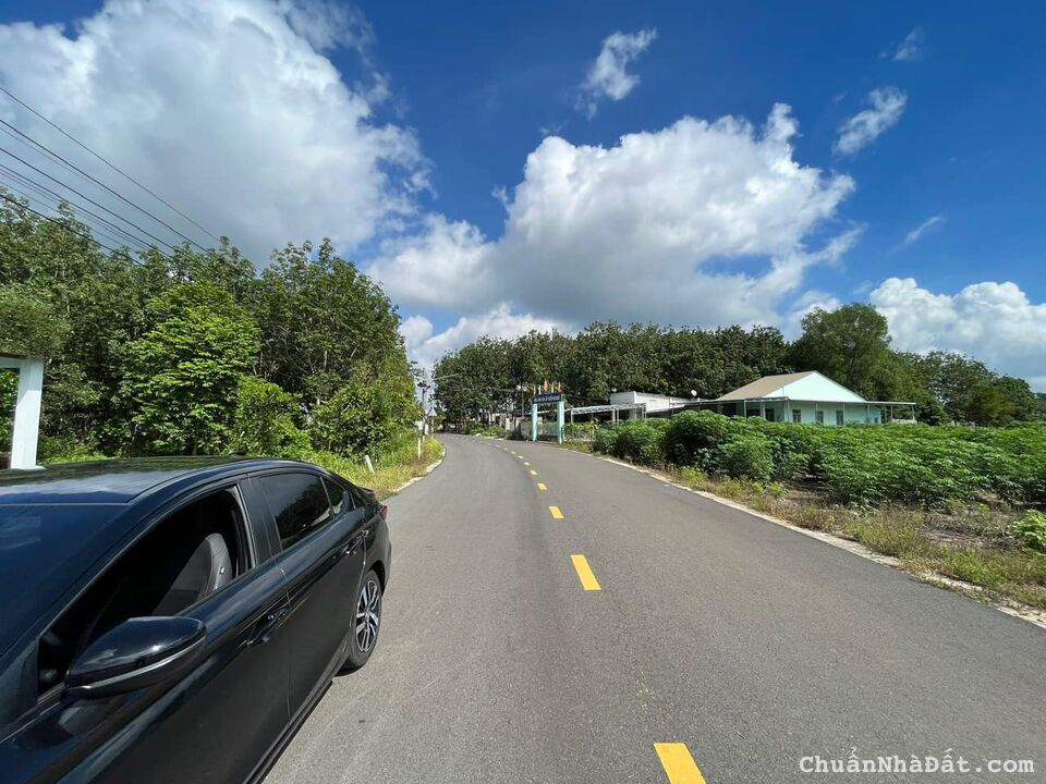 Nợ ngân hàng không đóng lãi nổi, cần bán gấp lô đất đẹp nhất Nợ ngân hàng không đóng lãi nổi, cần bán gấp lô đất đẹp nhất