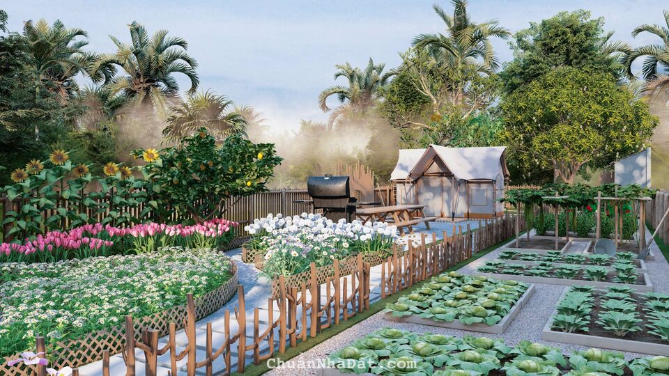 Bán đất tặng nhà vườn sử dụng được ngay - ngang 10