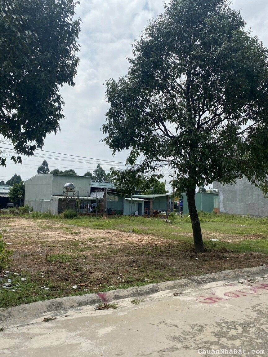 Làm ăn thua lỗ, cần bán gấp lô đất trả nợ ngân hàng