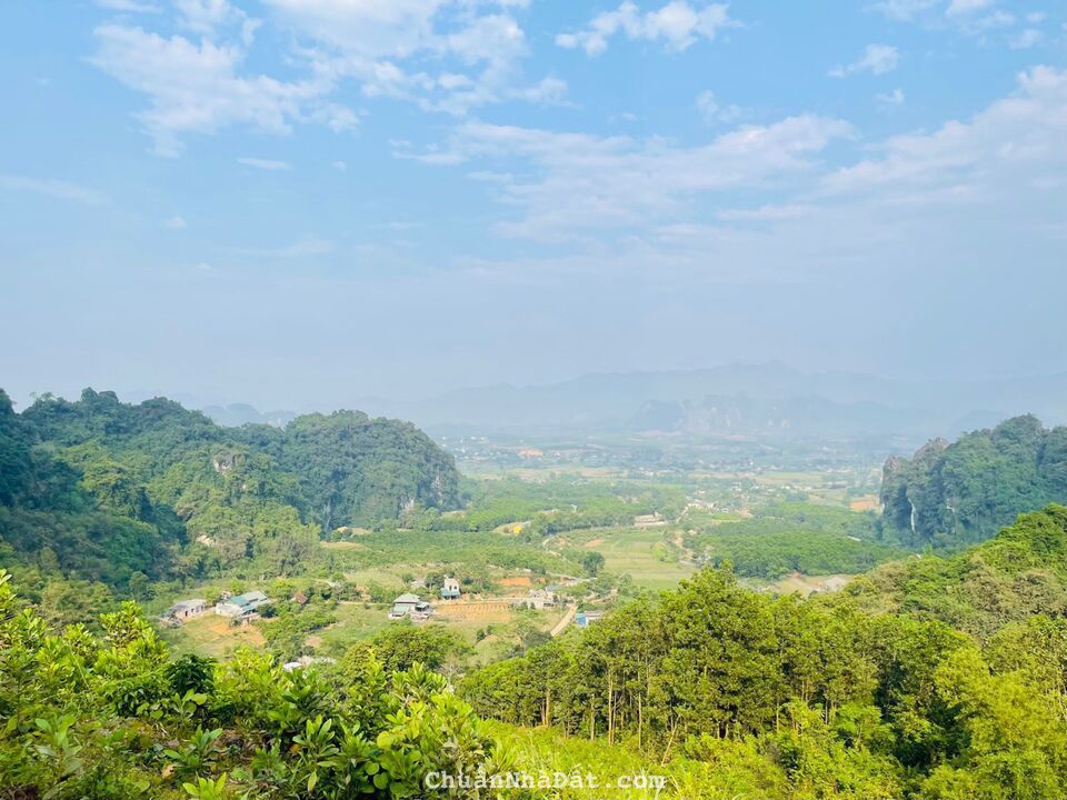 Cần bán gấp 9300m 521m thổ cư Tây Phong Cao Phong Hoà Bình