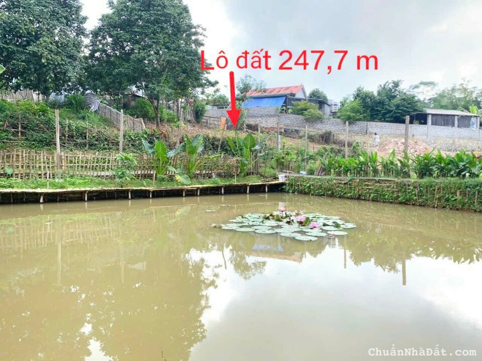 Cần bán Gấp 247m 100m tc Tân Vinh Lương Sơn Hoà Bình sát khu nghỉ dưỡng