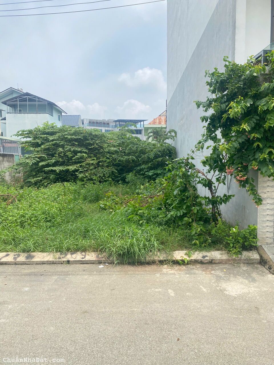 Bán Đất thổ cư đường 11 phường An Phú Quận 2  - khu gần chung cư The Vista An Phú  ngang >5.25m. 