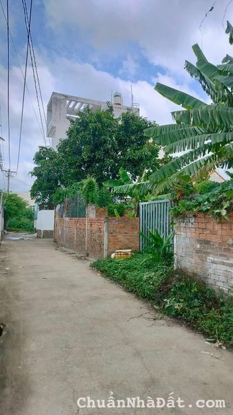 Bán đất thổ cư mặt tiền đường 40 P.Bình Trưng Đông Quận 2 (9x35m3 nở hậu 9m ) full thổ 100% Bán đất thổ cư mặt tiền đường 40 P.Bình Trưng Đông Quận 2 (9x35m3 nở hậu 9m ) full thổ 100%