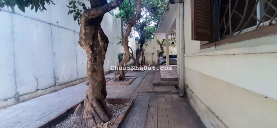 Chủ gửi cho thuê nhà mặt tiền số 3 Einstein p. Bình thọ Thủ đức Dt đất gần 600m2, ngang gần 15m Chủ gửi cho thuê nhà mặt tiền số 3 Einstein p. Bình thọ Thủ đức Dt đất gần 600m2, ngang gần 15m