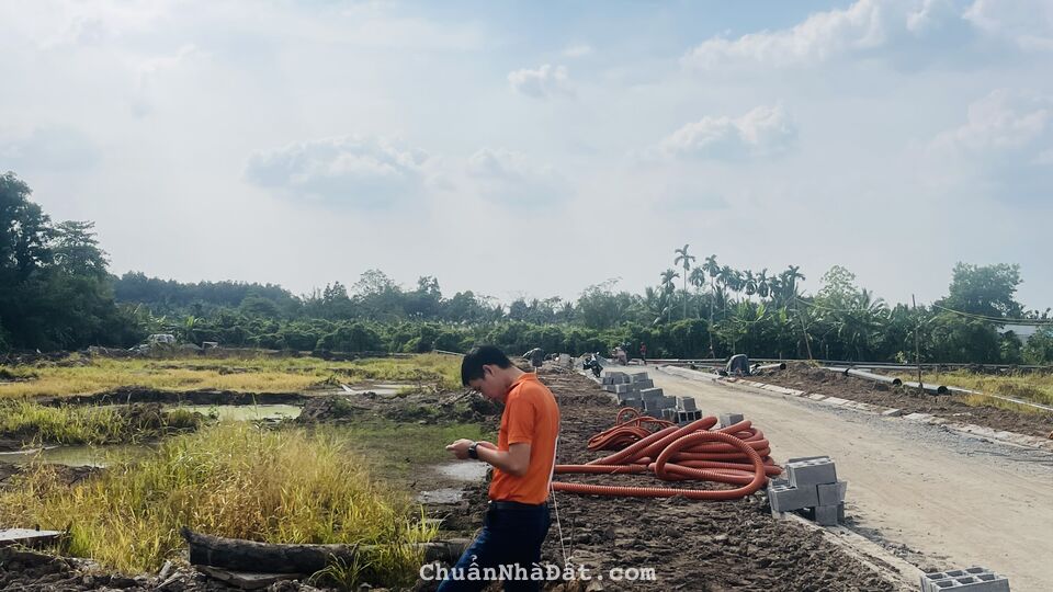 bán nền bán nền