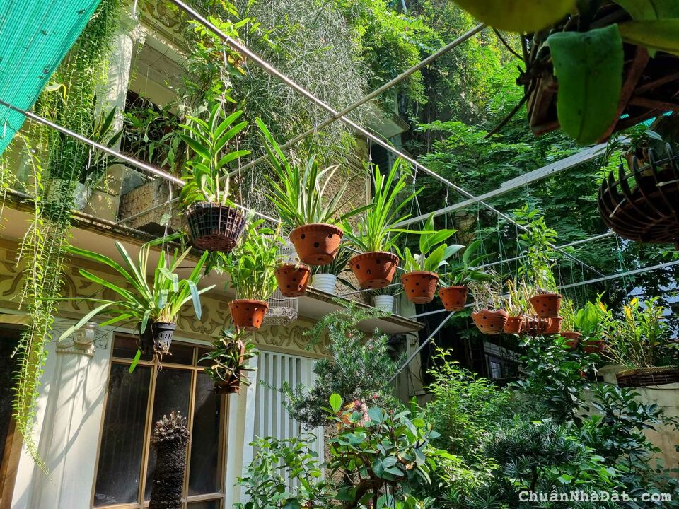 Cho thuê biệt thự sân vườn 500m2 trung tâm quận Ba Đình, không giới hạn mục đích thuê