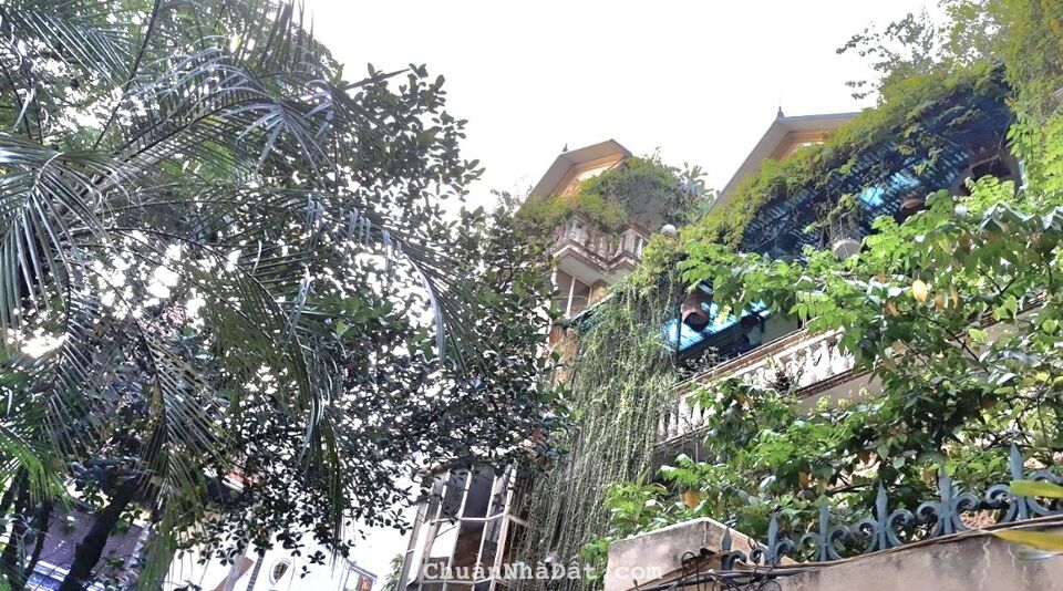 Cho thuê biệt thự sân vườn 500m2 trung tâm quận Ba Đình, không giới hạn mục đích thuê
