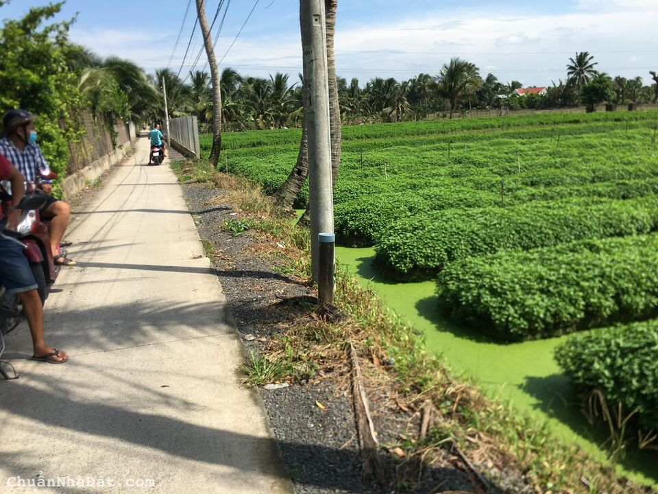 Cần bán gấp 745m2 đất chính chủ giáp Mỹ Tho với giá chỉ nhỉnh 1T5