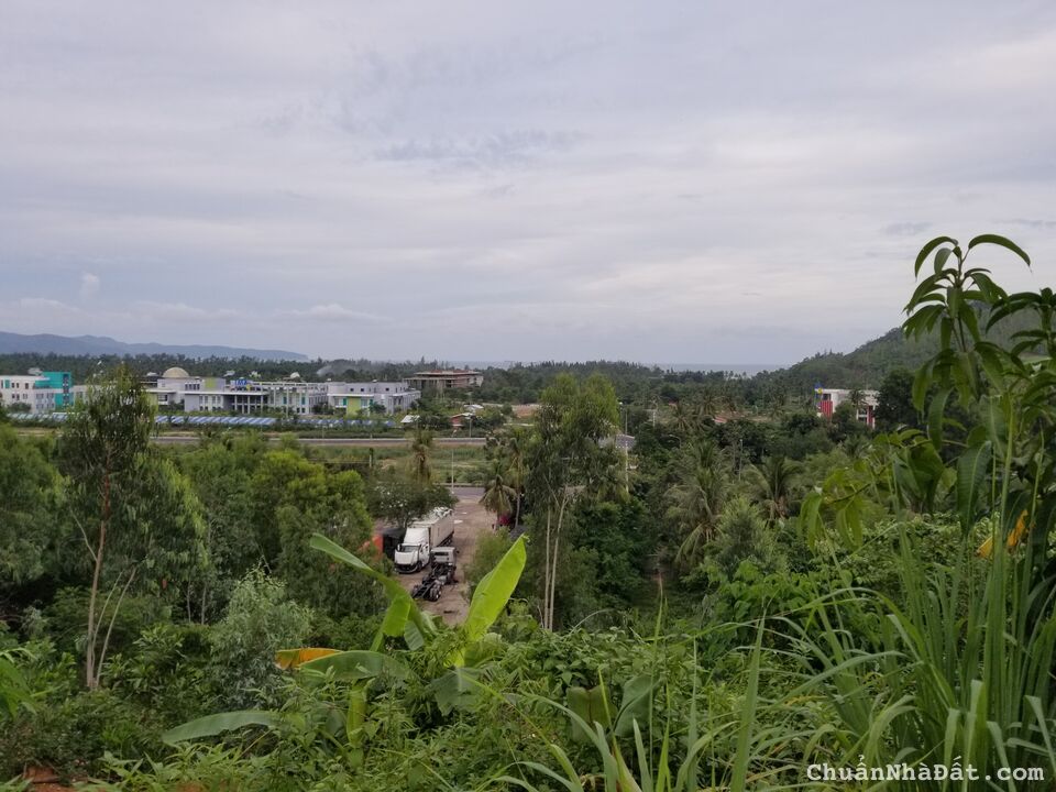 Bán đất rẫy - an dưỡng tuổi già Bán đất rẫy - an dưỡng tuổi già