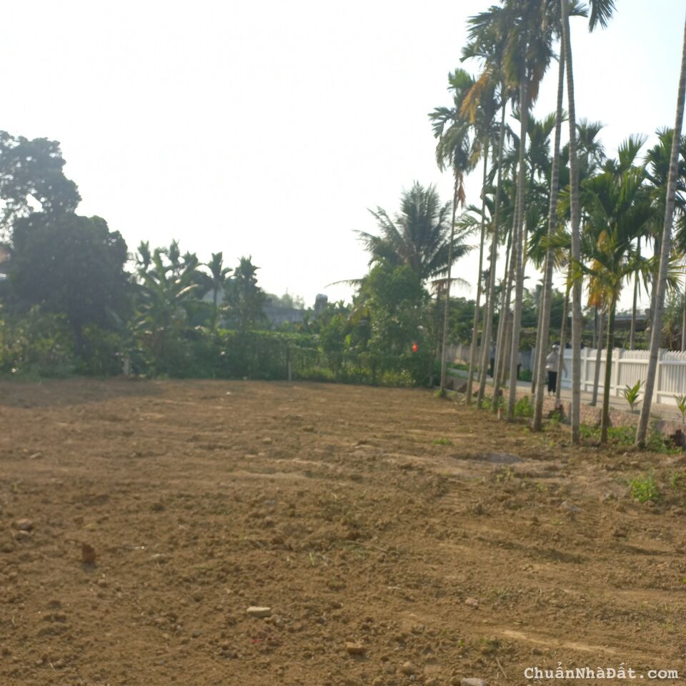 Lô ngang 8m, ra quốc lộ 1A 5p, chỉ 516 triệu