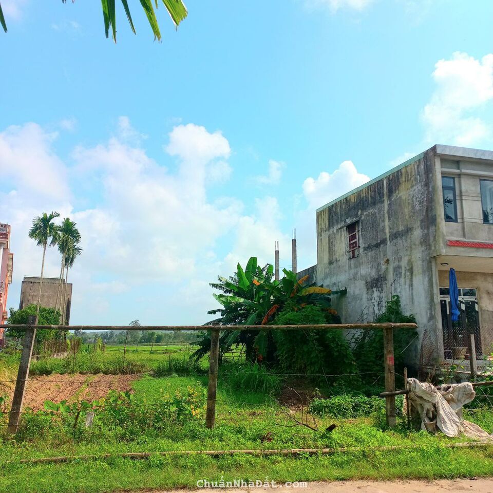 Thanh Lý Lô Đất Ven Đà Nẵng chủ mua hơn 700 triệu bán thanh lý chỉ 530 triệu