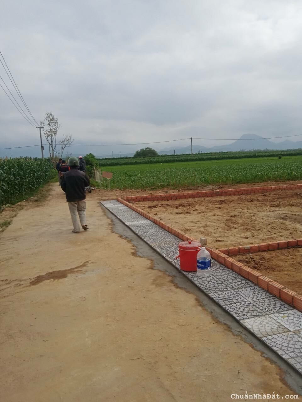 Đang cần tiền bán gấp lô đất sát bên Thị Trấn Ái Nghĩa Đang cần tiền bán gấp lô đất sát bên Thị Trấn Ái Nghĩa