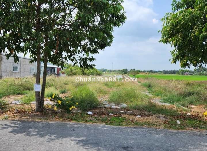 Bán lô đất mặt tiền nhựa gần Phan Thiết 