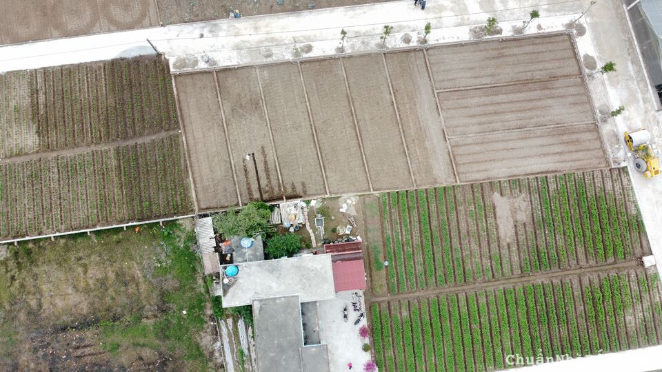 Em cần tiền mở xưởng sản xuất nên bán gấp lô đất mặt biển Quất Lâm, Nam Định Em cần tiền mở xưởng sản xuất nên bán gấp lô đất mặt biển Quất Lâm, Nam Định