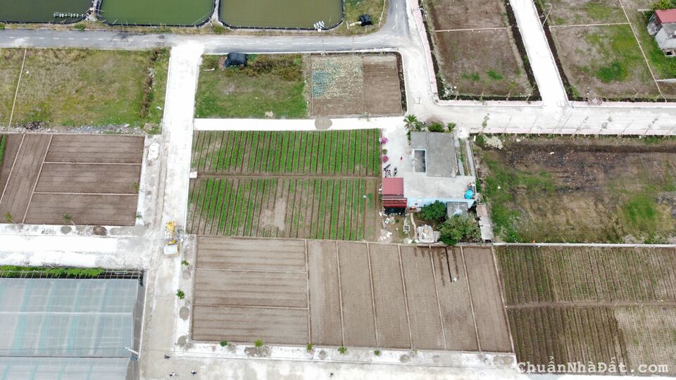 Em cần tiền mở xưởng sản xuất nên bán gấp lô đất mặt biển Quất Lâm, Nam Định Em cần tiền mở xưởng sản xuất nên bán gấp lô đất mặt biển Quất Lâm, Nam Định