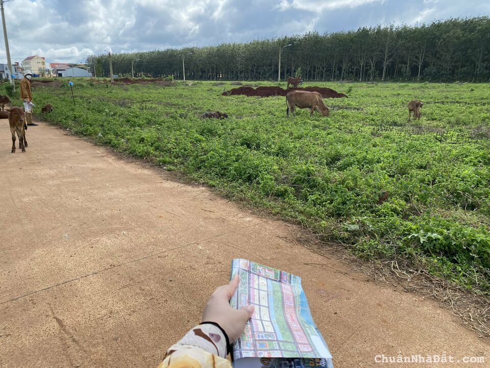 Đất Nền Krong Năng 132m2(6x22) thổ cư Đất Nền Krong Năng 132m2(6x22) thổ cư