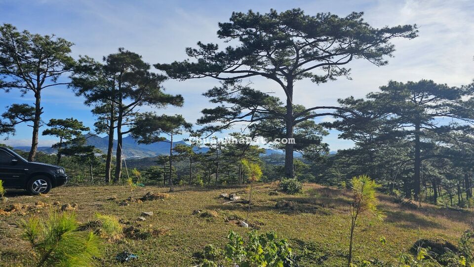 Bán đất lớn view đẹp, tiện phân lô biệt thự ở thành phố Đà Lạt.