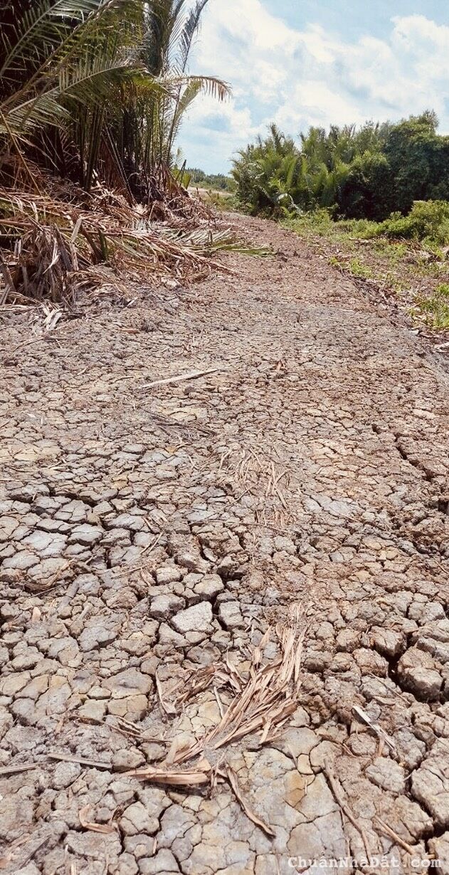 Bán mảnh đất nông nghiệp vuông đẹp xã Hiệp Phước.