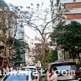 Bán chung cư Trần Quý Kiên, Cầu Giấy. 87/91m; T4; giá 3.2 tỷ 