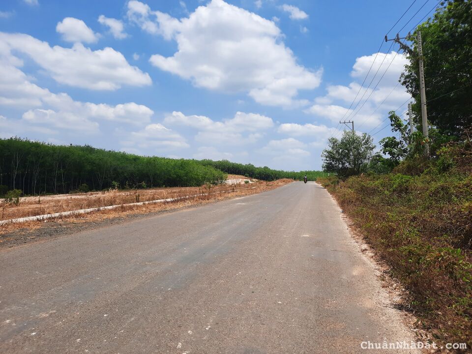 Quá ngộp trước chủ mua 830tr cháy hàng, chủ ôm 10 nền cần bán gấp giá 430tr/lô