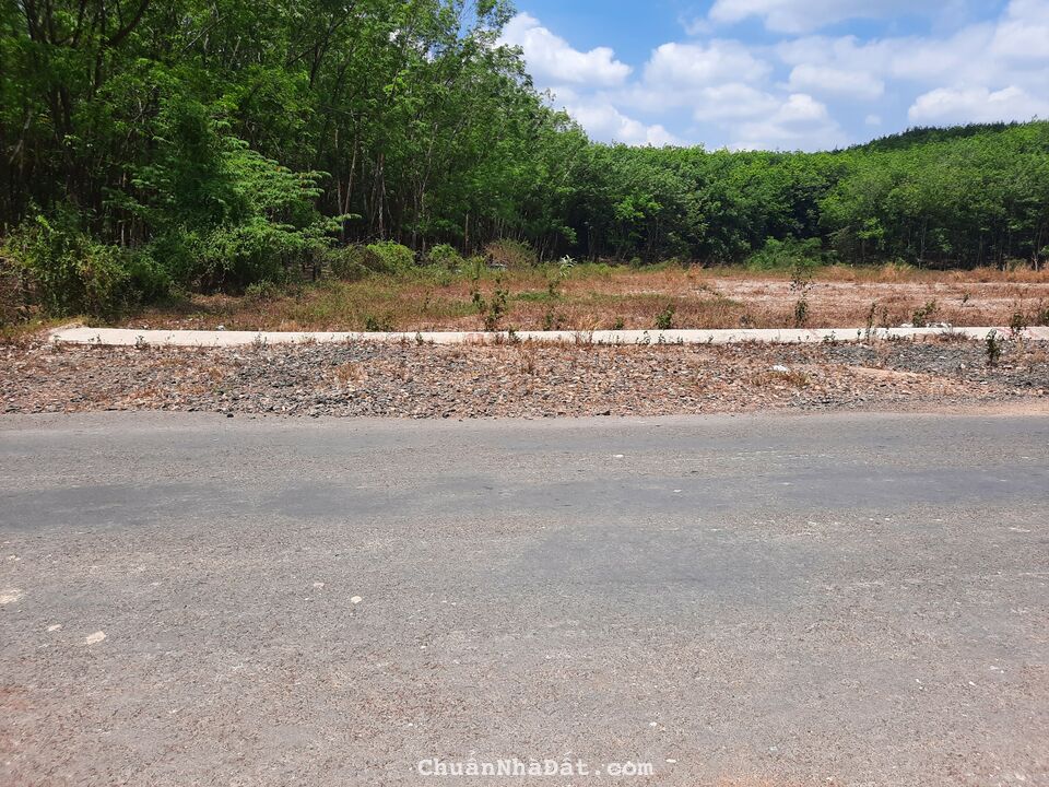 Bán gấp lô đất hơn 230m2 mặt tiền đường nhựa 32m phía sau trường cấp 3