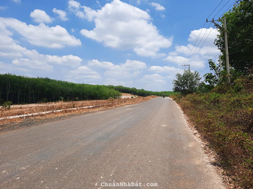 Bán gấp lô đất hơn 230m2 mặt tiền đường nhựa 32m phía sau trường cấp 3