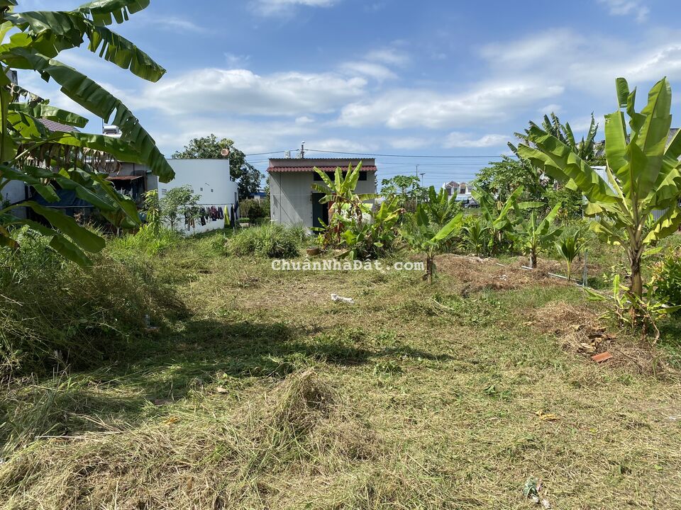 Bán đất Khu Trạm Cân Lộc Hòa gần Khu Công nghiệp Hòa Phú
