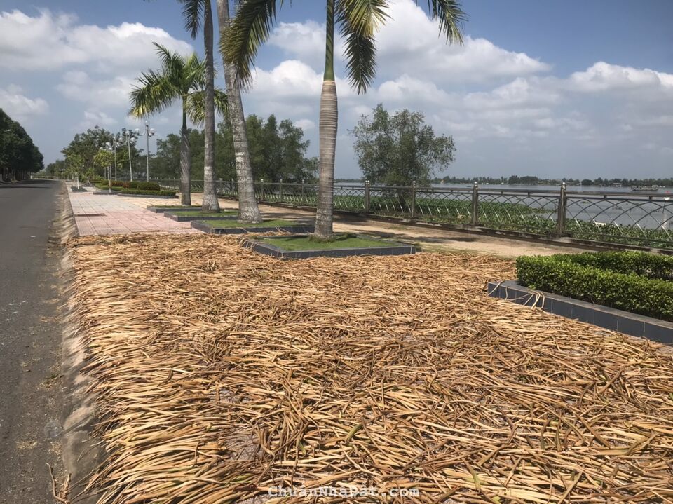 Đất 16x30 mặt tiền Cồn Chim TP Vĩnh Long