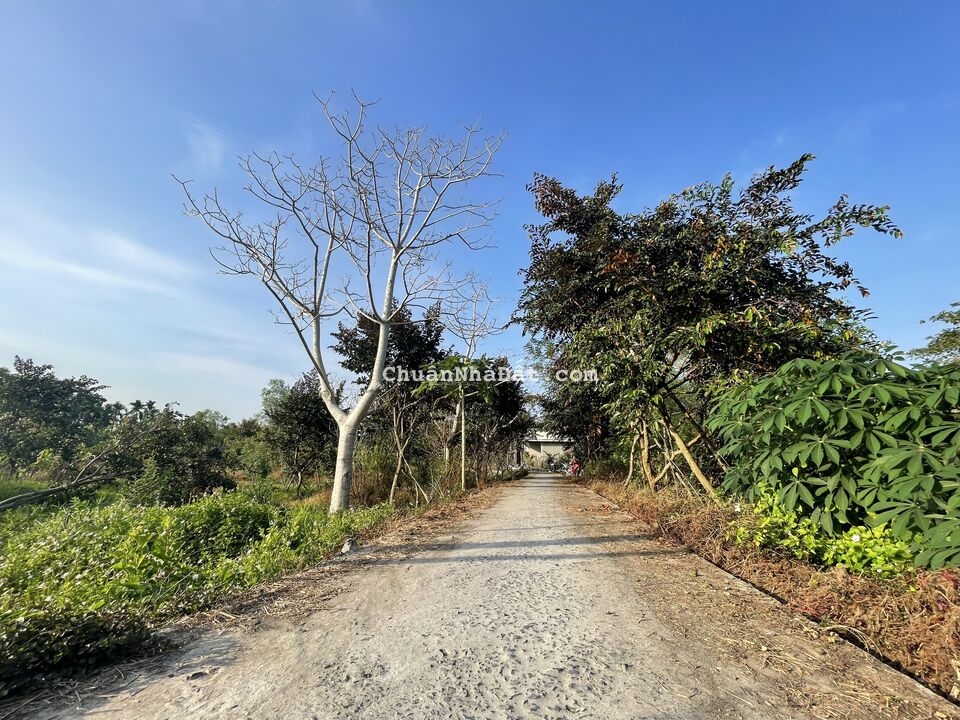 Nền 64m2 có 46m2 thổ cư - Ngay cạnh bên DT917, TT. Phong Điền, TP Cần Thơ