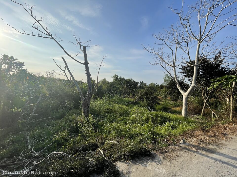 Nền 64m2 có 46m2 thổ cư - Ngay cạnh bên DT917, TT. Phong Điền, TP Cần Thơ